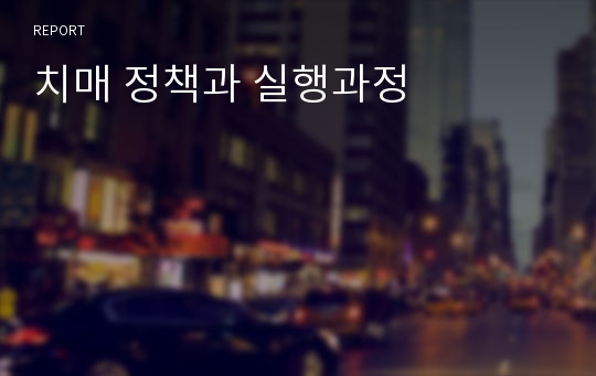 치매 정책과 실행과정