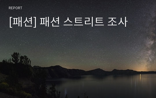 [패션] 패션 스트리트 조사