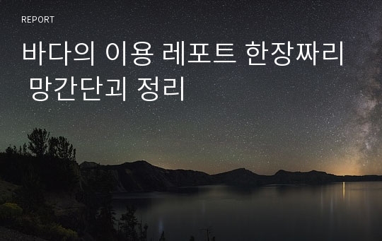 바다의 이용 레포트 한장짜리 망간단괴 정리