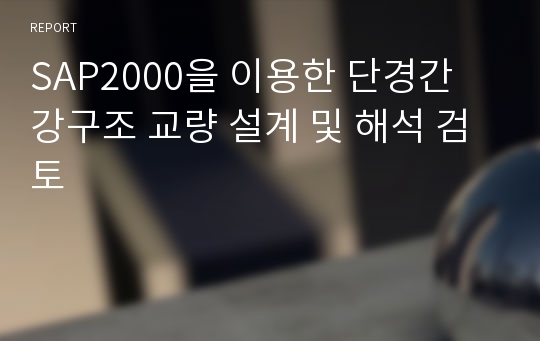 SAP2000을 이용한 단경간 강구조 교량 설계 및 해석 검토