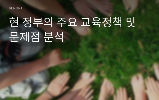 현 정부의 주요 교육정책 및 문제점 분석