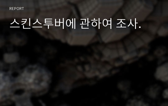 스킨스투버에 관하여 조사.