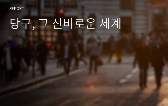 당구, 그 신비로운 세계