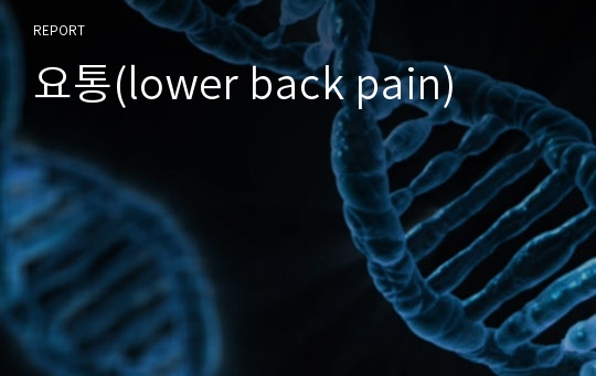 요통(lower back pain)