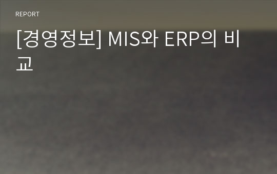 [경영정보] MIS와 ERP의 비교