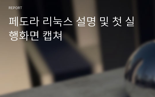 페도라 리눅스 설명 및 첫 실행화면 캡쳐