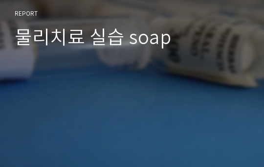 물리치료 실습 soap