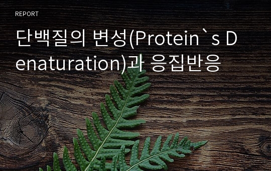 단백질의 변성(Protein`s Denaturation)과 응집반응