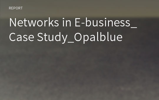 Networks in E-business_Case Study_Opalblue