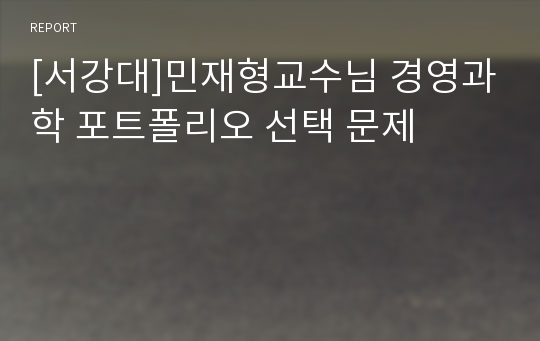 [서강대]민재형교수님 경영과학 포트폴리오 선택 문제