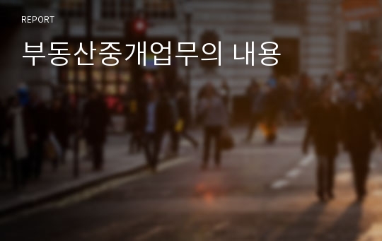 부동산중개업무의 내용