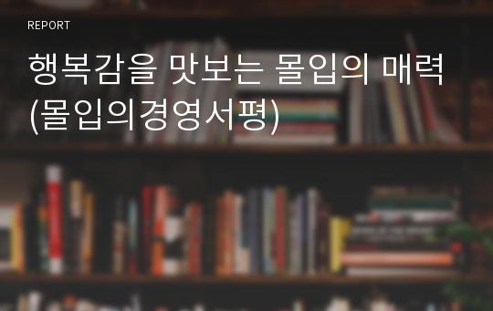 행복감을 맛보는 몰입의 매력(몰입의경영서평)