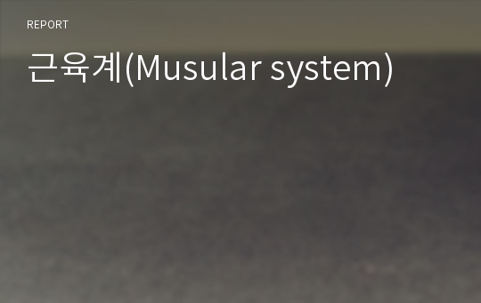 근육계(Musular system)