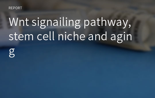 Wnt signailing pathway, stem cell niche and aging