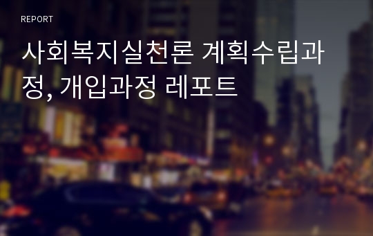 사회복지실천론 계획수립과정, 개입과정 레포트