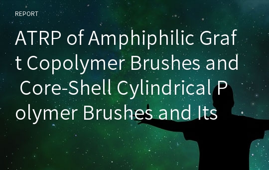 ATRP of Amphiphilic Graft Copolymer Brushes and Core-Shell Cylindrical Polymer Brushes and Its Use as Template Film for the Preparation of Nanoparticles