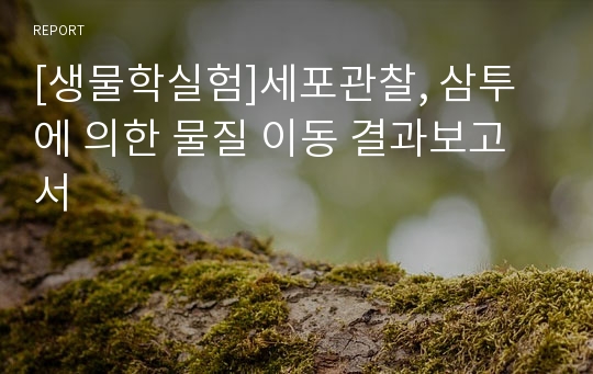 [생물학실험]세포관찰, 삼투에 의한 물질 이동 결과보고서