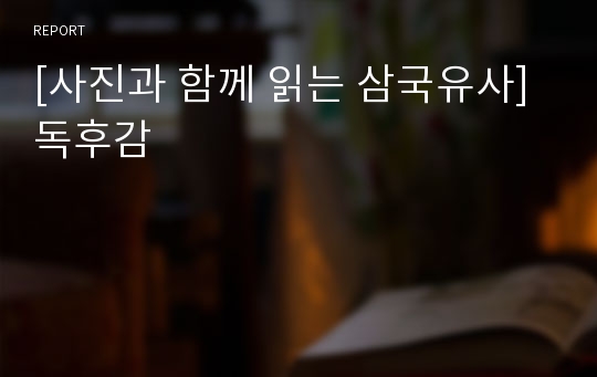 [사진과 함께 읽는 삼국유사] 독후감