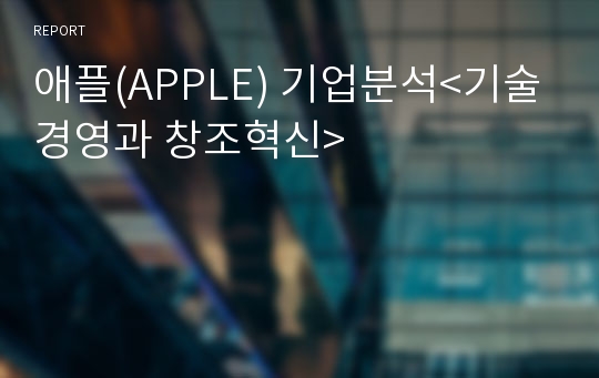 애플(APPLE) 기업분석&lt;기술경영과 창조혁신&gt;