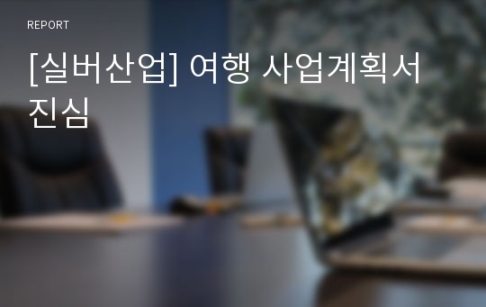 [실버산업] 여행 사업계획서 진심