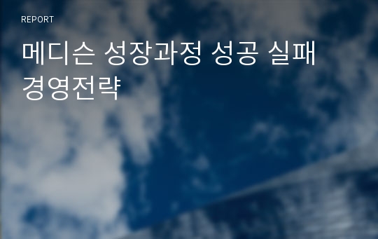 메디슨 성장과정 성공 실패 경영전략