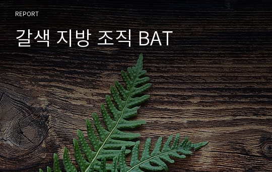 갈색 지방 조직 BAT