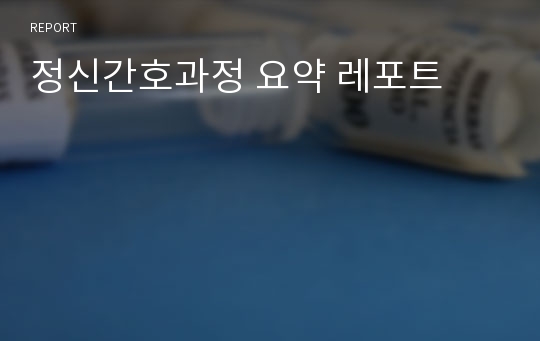 정신간호과정 요약 레포트