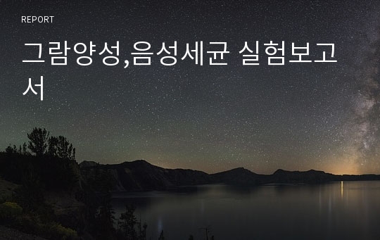 그람양성,음성세균 실험보고서