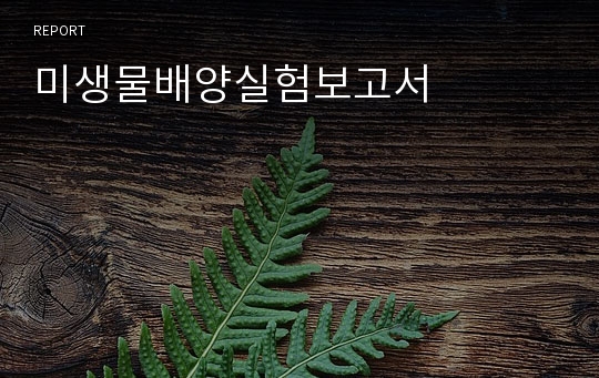 미생물배양실험보고서