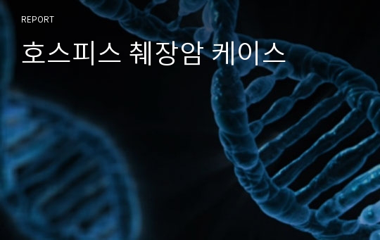 호스피스 췌장암 케이스