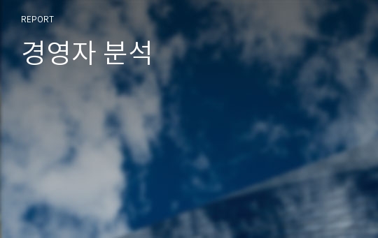 경영자 분석