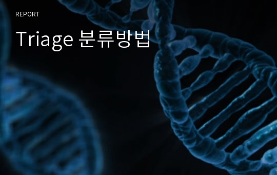 Triage 분류방법