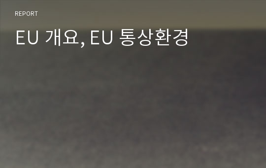 EU 개요, EU 통상환경