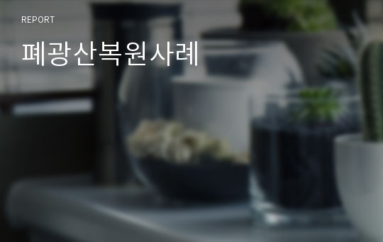 폐광산복원사례