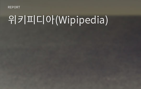 위키피디아(Wipipedia)