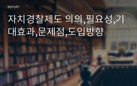 자치경찰제도 의의,필요성,기대효과,문제점,도입방향