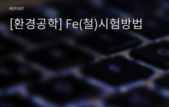 [환경공학] Fe(철)시험방법