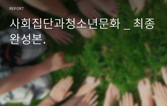 사회집단과청소년문화 _ 최종완성본.