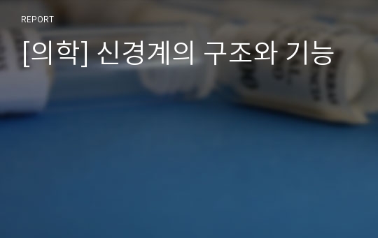 [의학] 신경계의 구조와 기능