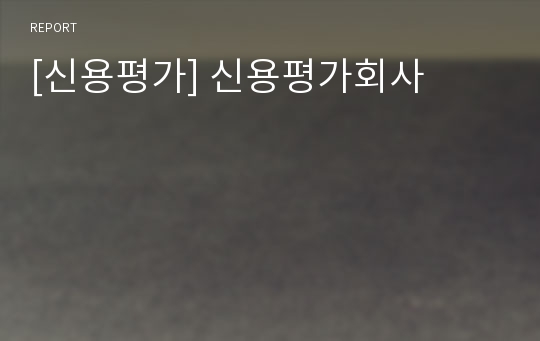 [신용평가] 신용평가회사