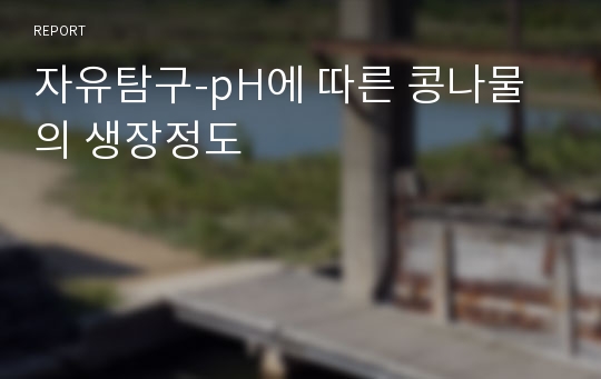 자유탐구-pH에 따른 콩나물의 생장정도