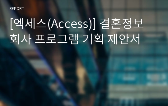 [엑세스(Access)] 결혼정보회사 프로그램 기획 제안서