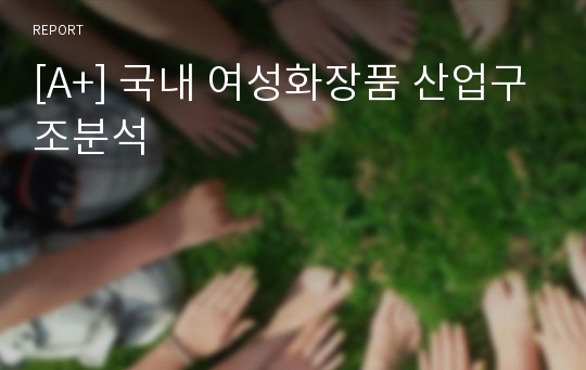 [A+] 국내 여성화장품 산업구조분석