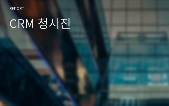 CRM 청사진