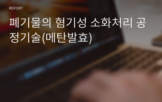 폐기물의 혐기성 소화처리 공정기술(메탄발효)