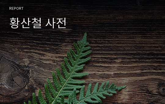 황산철 사전