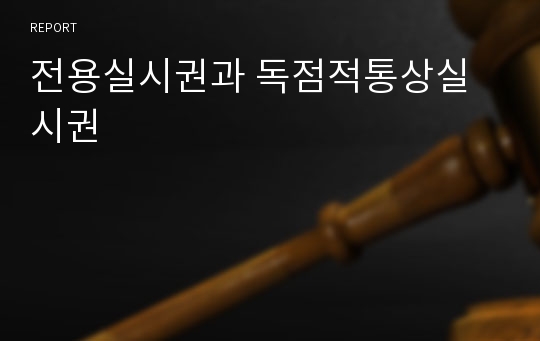 전용실시권과 독점적통상실시권