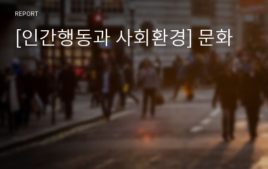 [인간행동과 사회환경] 문화