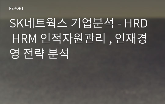 SK네트웍스 기업분석 - HRD HRM 인적자원관리 , 인재경영 전략 분석