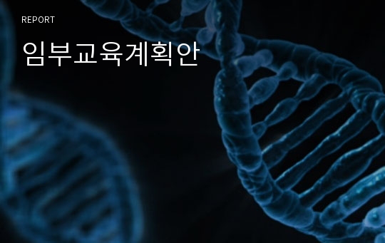 임부교육계획안